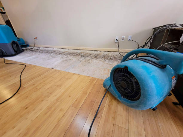 Professional Structural Drying technician working in Madbury, NH